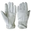 Driver -gloves1