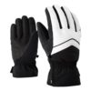 ski gloves23